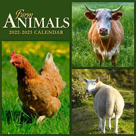 Buy Farm Animals Calendar 2022 Farm Animals Calendar 2022 2023 Animals
