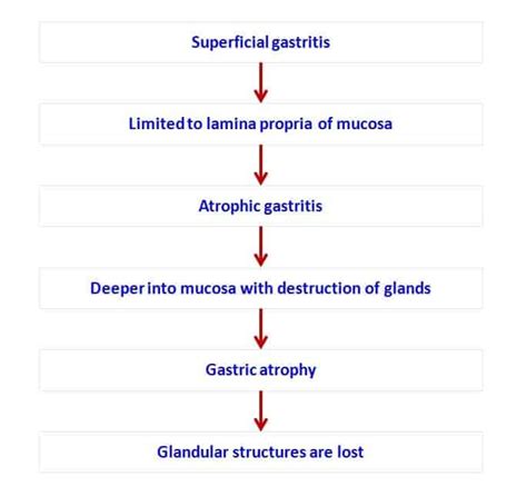 Gastritis New