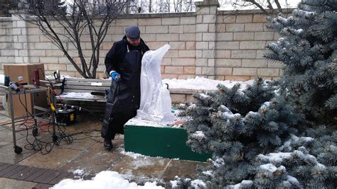 View photos of the 37 condos and apartments listed for sale in woodridge il. Downtown Downers Grove Ice Festival: Once Upon a Time ...
