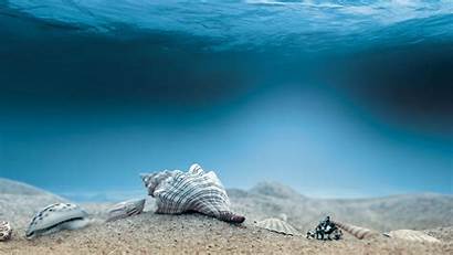 Underwater Ocean Background Sea Water Shells Sand