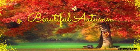Beautiful Autumn Facebook Cover Images Autumn Nature Cover Photos