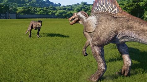 Jurassic World Evolution Spinosaurus Vs Giganotosaurus Carnotaurus Stegosaurus Stegoceratops