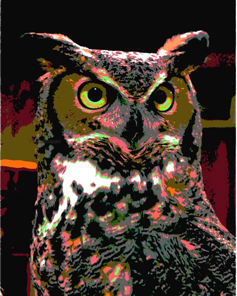 Psychedelic Owl Art Print 8 X 10 Visionary Pop Art Etsy