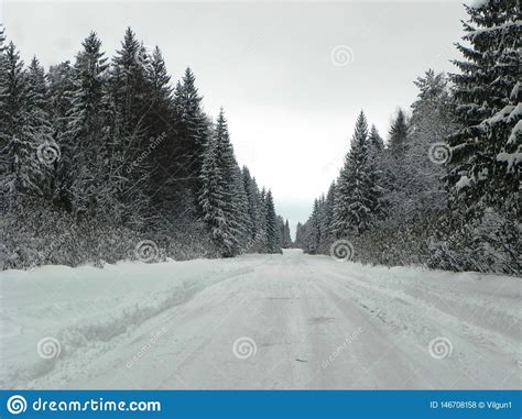 Winter Snow Covered Road Beautiful Forest Nature And Road Covered