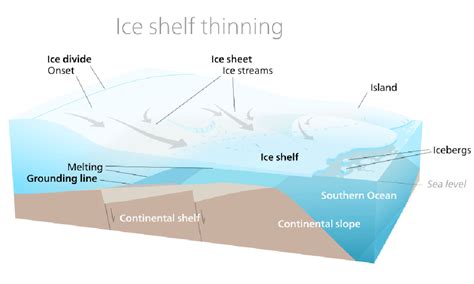 What Are Ice Shelves And Why Does It Matter That Theyre Collapsing
