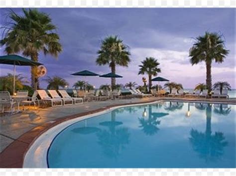 Grand Hyatt Tampa Bay Hyatt Place Tampabusch Gardens Resort Png