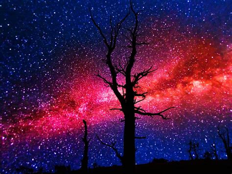 Webshots Milky Way In Bryce Canyon Utah Bryce Canyon Utah Brightest