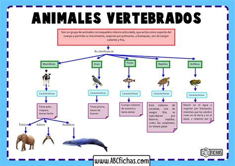 Animales Vertebrados Clasificacion Abc Fichas