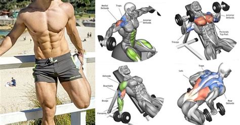 Pin On Dumbell Exercises To Burn Fat