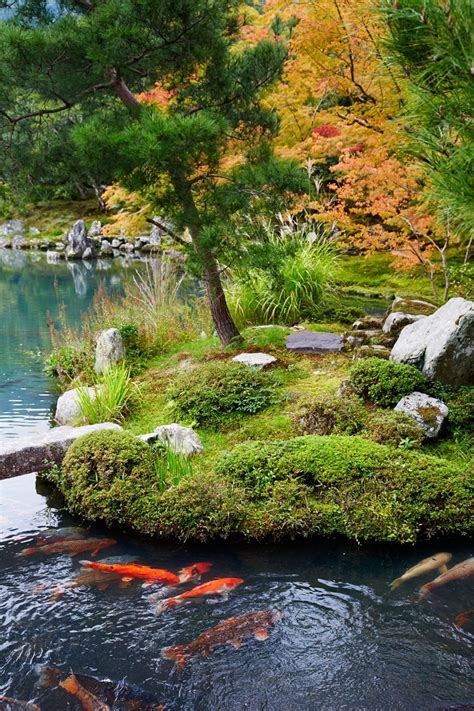 How to make a japanese moss garden. Lær deg å elske den forhatte mosen og få en japansk zen ...