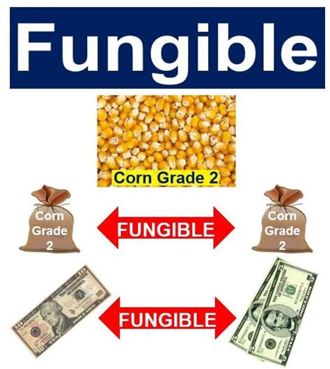 What is fungible? Definition and examples - Market Business News