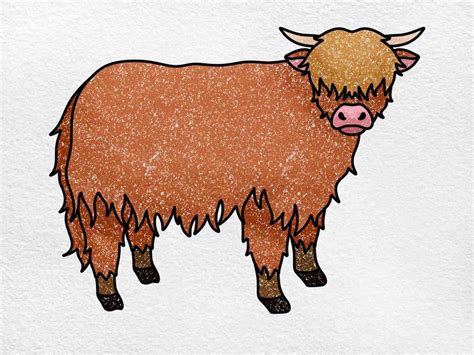 How To Draw A Highland Cow Helloartsy