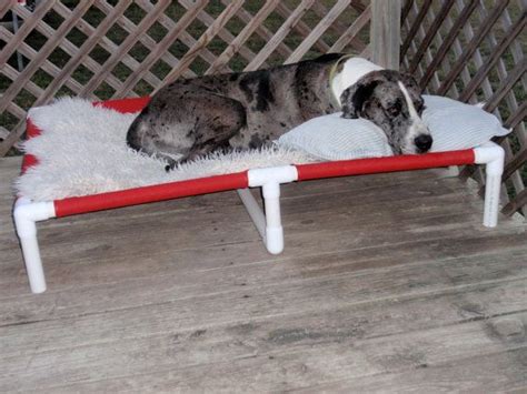 Handmade Great Dane X Large Dog Bed 38x55 With Middle Support Etsy