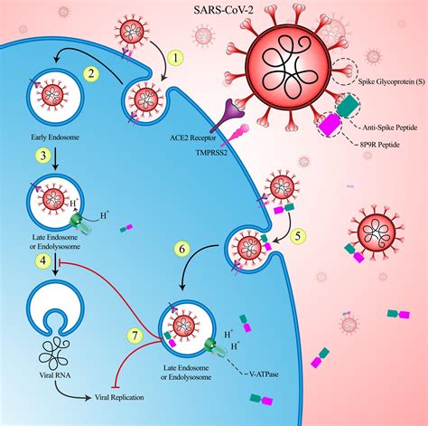 Frontiers Developing Cytokine Storm Sensitive Therapeutic Strategy In
