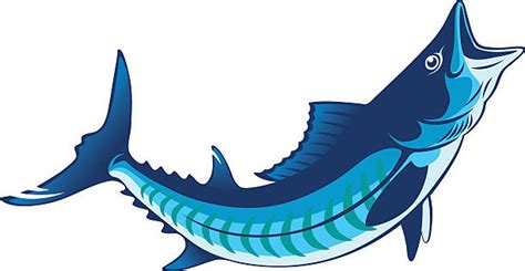 Download Wahoo Fish Illustrations, Royalty-Free Vector Graphics & Clip Art - iStock