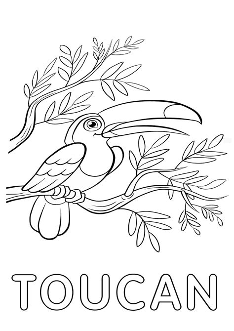 Printable spring time pdf coloring pages. Toucan coloring pages | Coloring pages to download and print