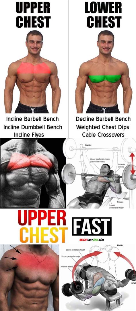 Upper Chest Workout Daily Gym Workout Gym Workout Tips Arm Workout Workout Plan Fitness