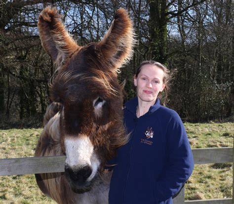 The Donkey Sanctuary Re Opens To The General Public Riviera Fm 1079fm
