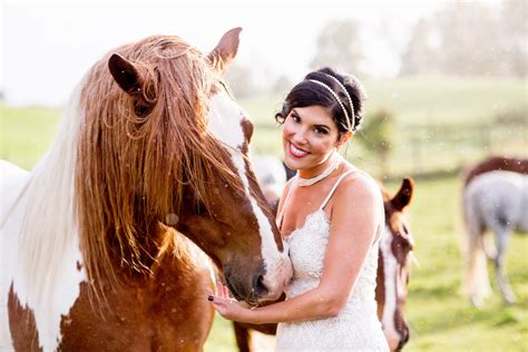 Wedding Horses Saratoga Ny — Tracey Buyce