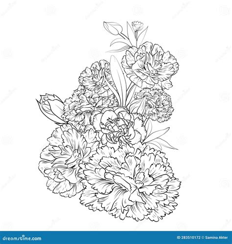 Carnation Line Drawing Carnation Vector Art Carnation Illustration Carnation Line Art