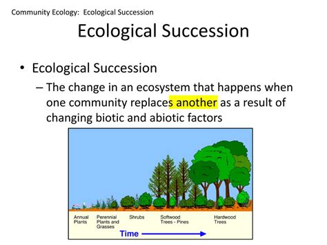 Ppt Ecology Powerpoint Presentation Free Download Id2122382