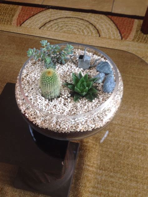 ¡use guantes o use una capa gruesa de periódico para. Terrariums base de vidrio, piedra blanca con cactus y ...