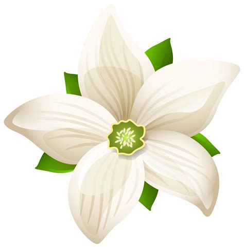 Large White Flower Transparent Png Clip Art Image Gallery Clip Art