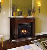 Pictures of Vented Gas Fireplace Reviews