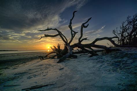 Jekyll Island Sunrise Driftwood Beach — Hybrid Media Consulting