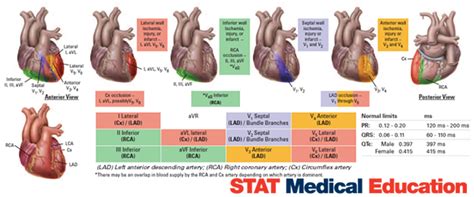12 Lead Interpretation Pccn Pinterest Medical Cardiology And