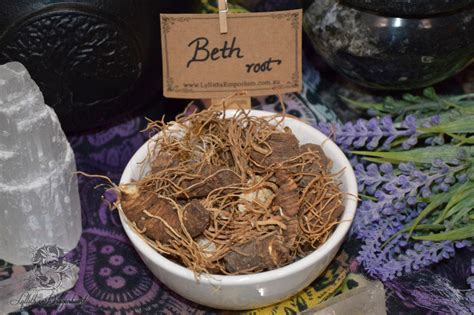 Beth Root ~ Trillium Lylliths Emporium