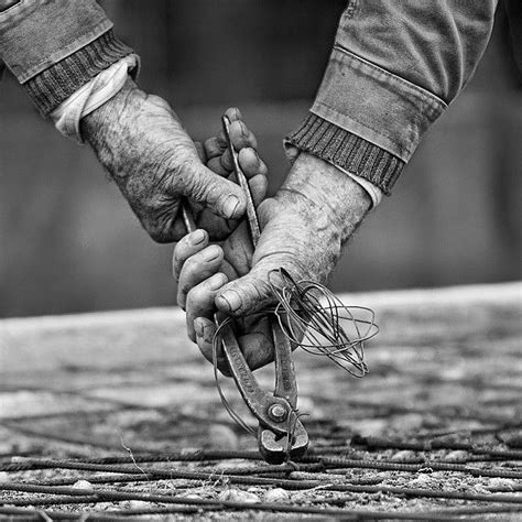 Working Hands Hand Photography Working Hands Hands