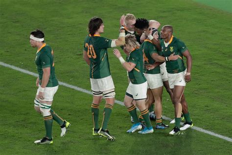 Rugby World Cup Final South Africa Crushes England The New York Times