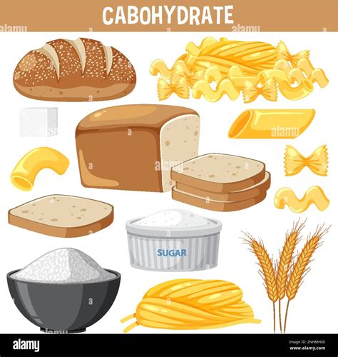 Variety Of Carbohydrates Foods Illustration Stock Vector Image And Art