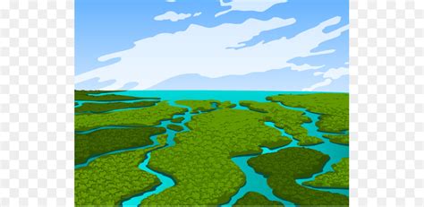 The Best Free Wetland Clipart Images Download From 10 Free Cliparts Of