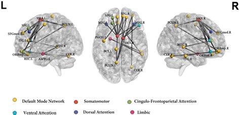 frontiers intrinsic functional connectivity in the default mode network differentiates the