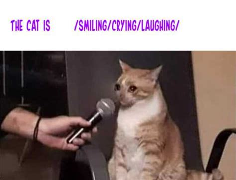 The Cat Is Smilingcryinglaughing