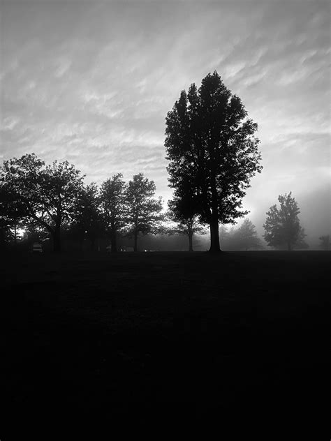 Fog Landscape Free Photo On Pixabay Pixabay