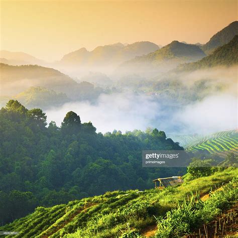 Beautiful Sunshine At Misty Morning Mountains High Res Stock Photo