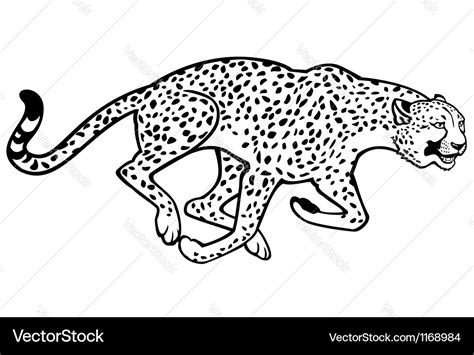 Running Cheetah Black And White Royalty Free Vector Image