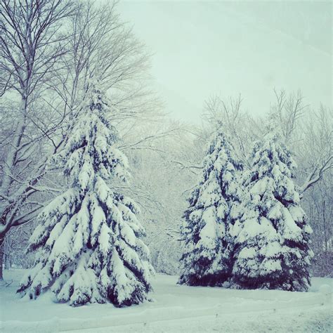 Winter Wonderland In Northern Michigan Northern Michigan Pinterest