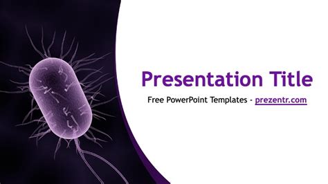 Bacteria Powerpoint Template Prezentr Ppt Templates