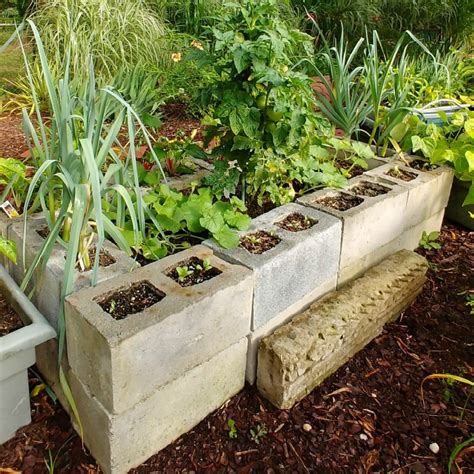 How To Make Raised Garden Beds With Concrete Blocks