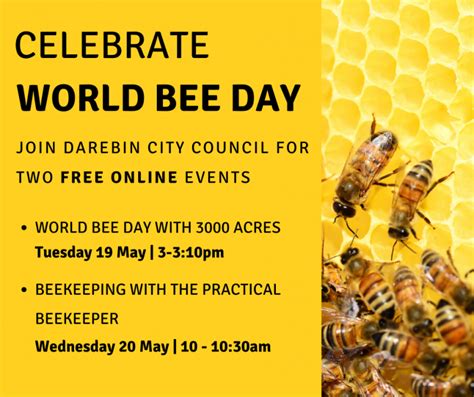 World Bee Day 20 May 2020 Darebin Food Harvest Network