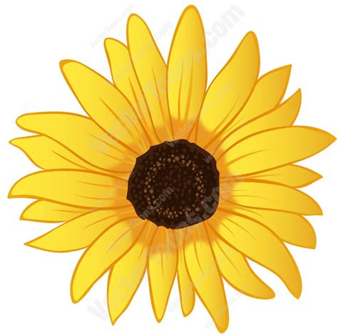 Yellow Sunflower Vectortoons Royalty Free Stock Vector