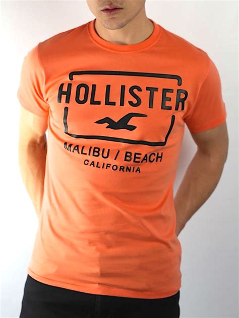 Hollister Malibu Beach Graphic T Shirt Clothing Depot