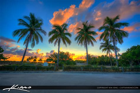 Dubois Park Sunrise Jupiter Florida Coconut Tree Hdr Photography By