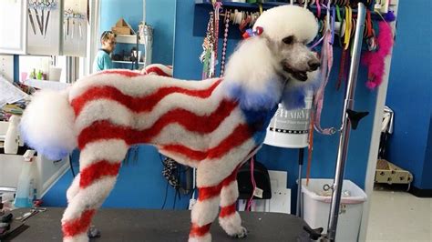 Red White And Blue Dog Dye Dog Grooming Styles Dog Grooming