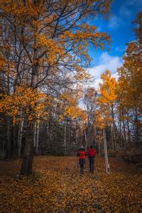 Autumn In Newfoundland And Labrador Brings Foliage Festivals And
