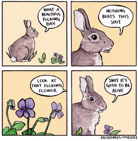 Listen to the positivity bunny ? (by FalseKnees) | Tumblr | Scoopnest